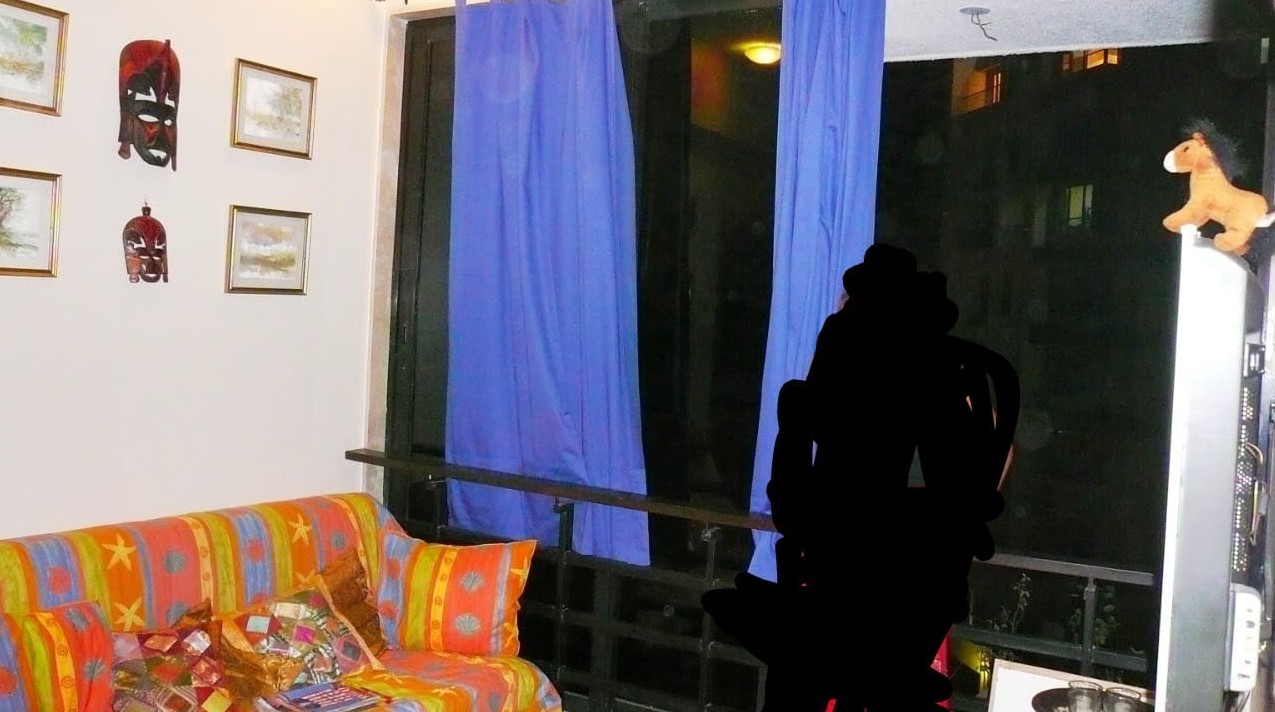 3 BHK Semi Furnished in Lodha Aria , Parel